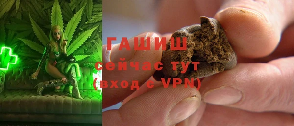 хмурый Арсеньев