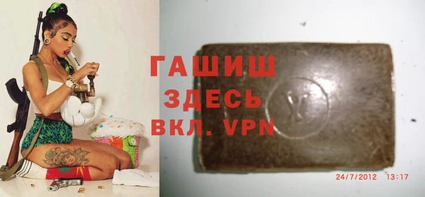 хмурый Арсеньев