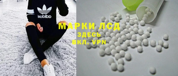 хмурый Арсеньев