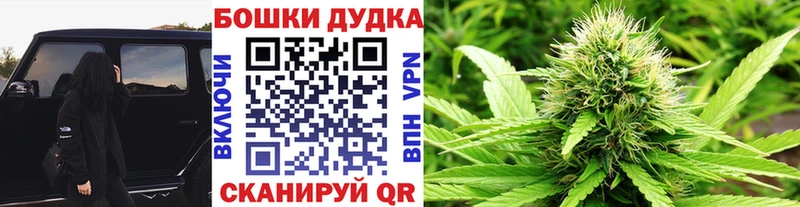 дарнет шоп  Бор  Шишки марихуана OG Kush 